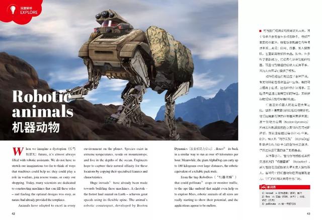 想让孩子读到最地道的英文原版科学杂志?《万物》出双语专刊啦