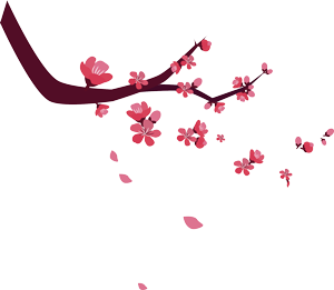 271c5010552b45a89832e5d281d451bf.png