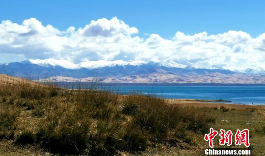 探訪青海湖關停景區:“人退綠來”路邊即是鳥窩 探訪青海湖關停景區:“人退綠來”路邊即是鳥窩