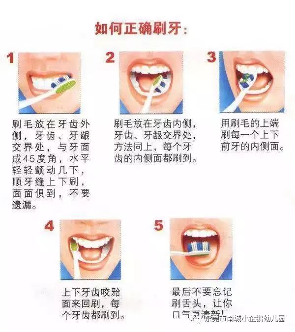 并教幼儿正确的刷牙方法和一天至少刷两次牙.