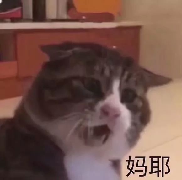 400c1150cae64f46b56080ecac979021.jpeg