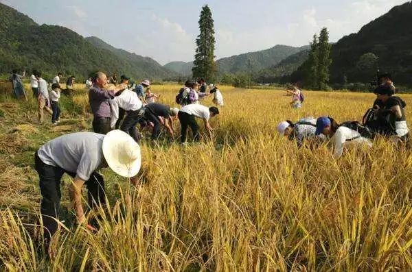 周堂镇人口_入宅周堂吉凶表图(3)