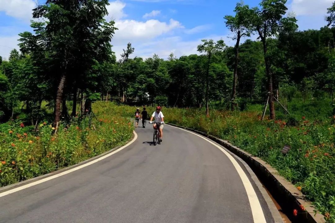 大足 玉龙山森林公园