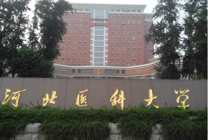 全国口碑排行_2020年全国空气质量排行榜出炉