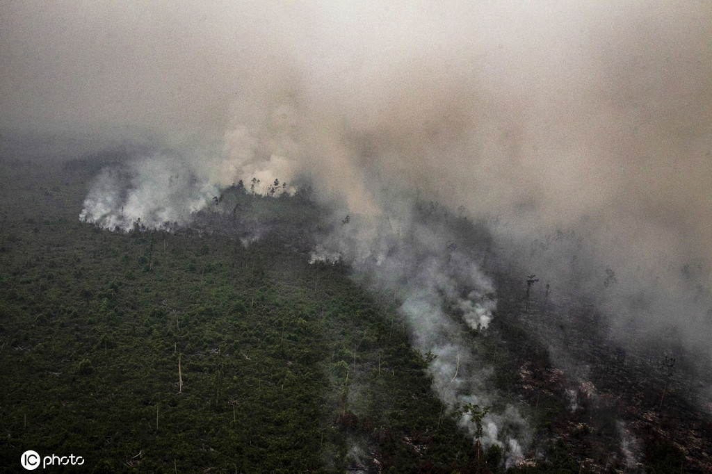 印尼森林火灾持续肆虐 消防员军人直升机多方