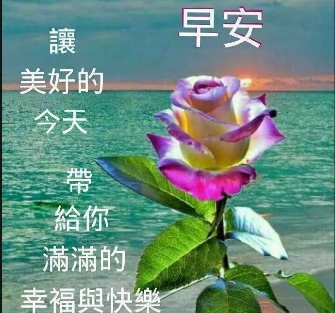 5701b1db51844efc8ce49b36cf5855bf.jpeg
