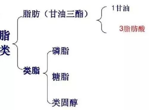 5a17d04df75f4a1b9ace2dc880c2bc7c.jpeg