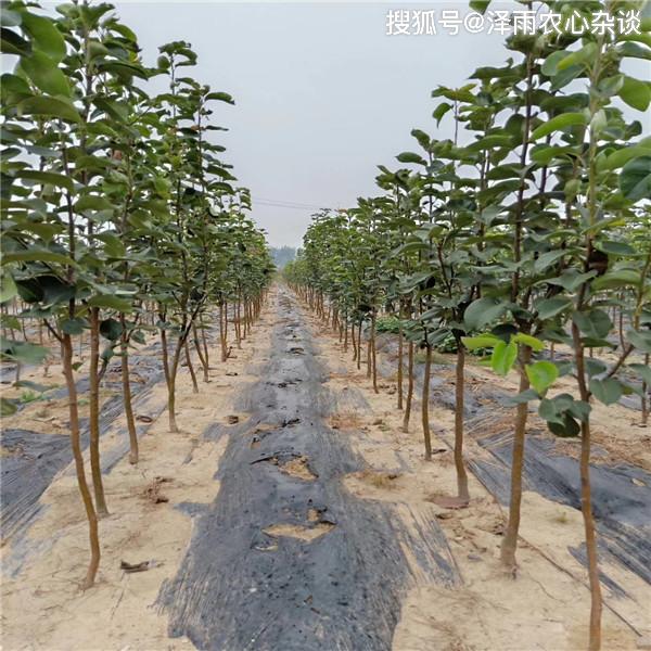 文章配图-4