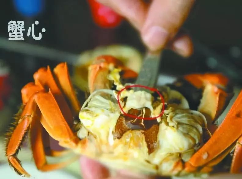怎么样挑螃蟹可以挑到最好的 6703b6eddd554f68bb4bda33dfbfea0a.jpeg