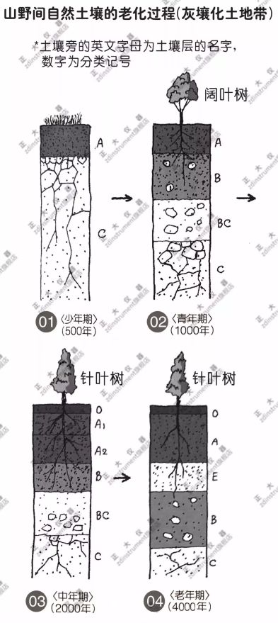 科普文章土壤基础知识讲解2