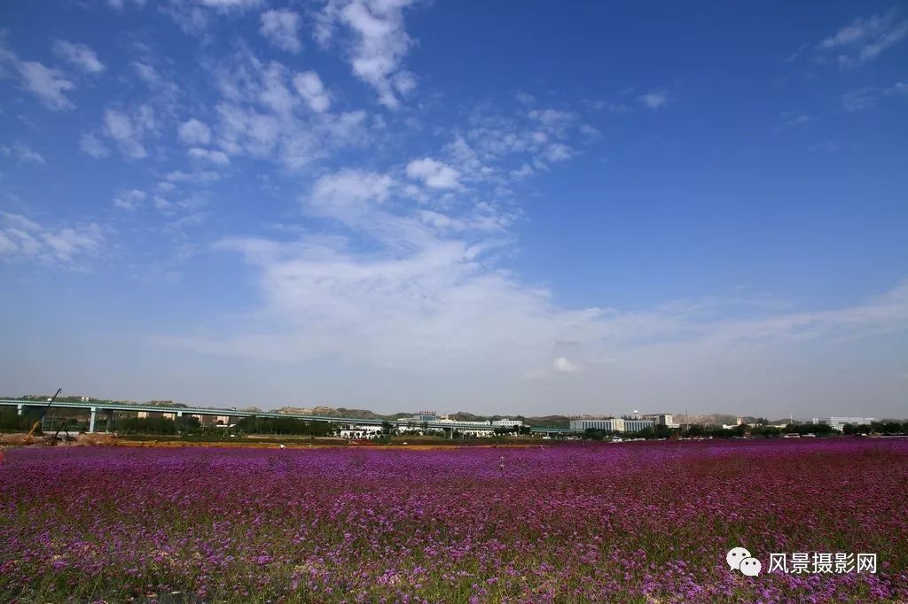 回不去的童年 回得去的庭院时光