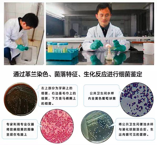 是模特繁殖最快的细菌戛纳电影节地方哭了图片