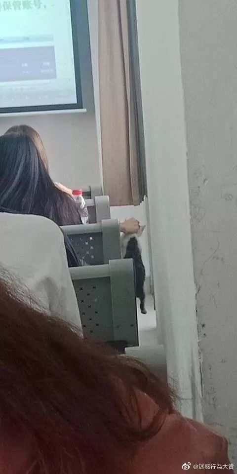 这不是经典透明情趣情趣法国内衣秀图片