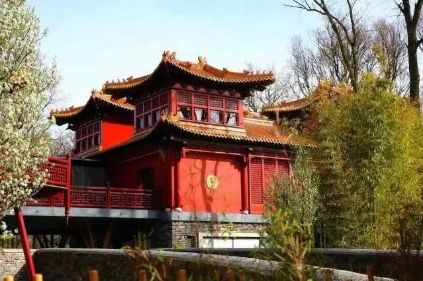 文章配图