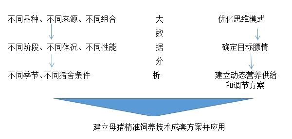 8cb3ac89e1664e88a2fd4f94704e331a.png