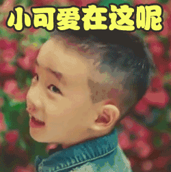 250_251gif 动态图 动图