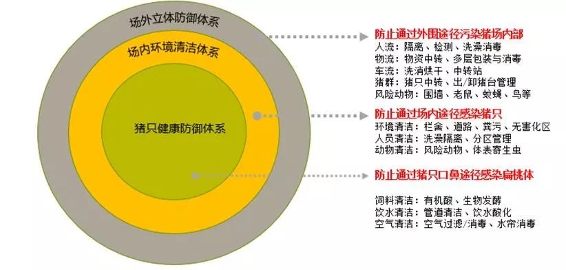 养一只猪能创造多少gdp_一只猪侧躺着像人的图(2)