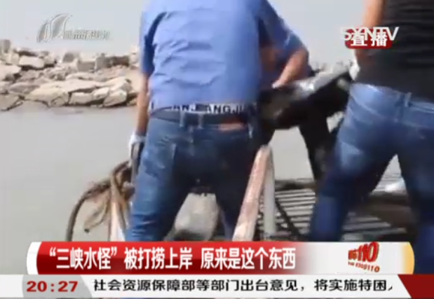 一个河豚猜成语_河豚图片可爱(3)
