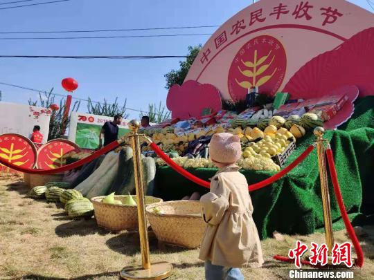 福州农民丰收节：畅享“丰收”盛宴
