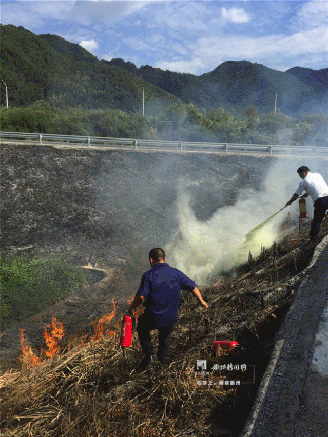 639_852 竖版 竖屏