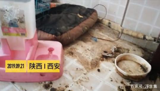 100万粉丝的女网红租房到期失联房东留下一屋狗屎还欠3000水电费