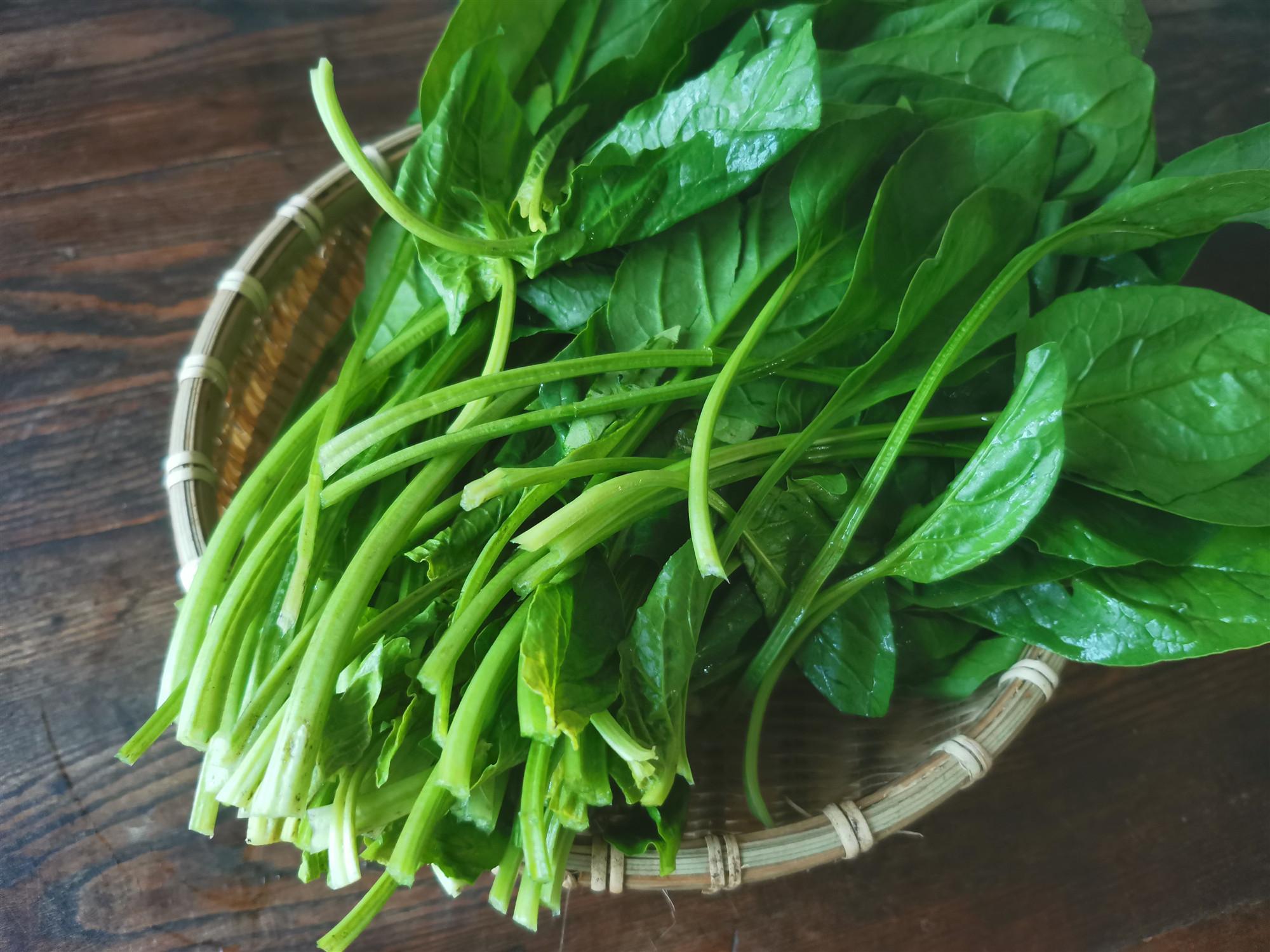 中国菠菜(也被称为苋属)的绿叶的根。泰米尔语的Arai keerai。照片摄影图片_ID:374775304-Veer图库