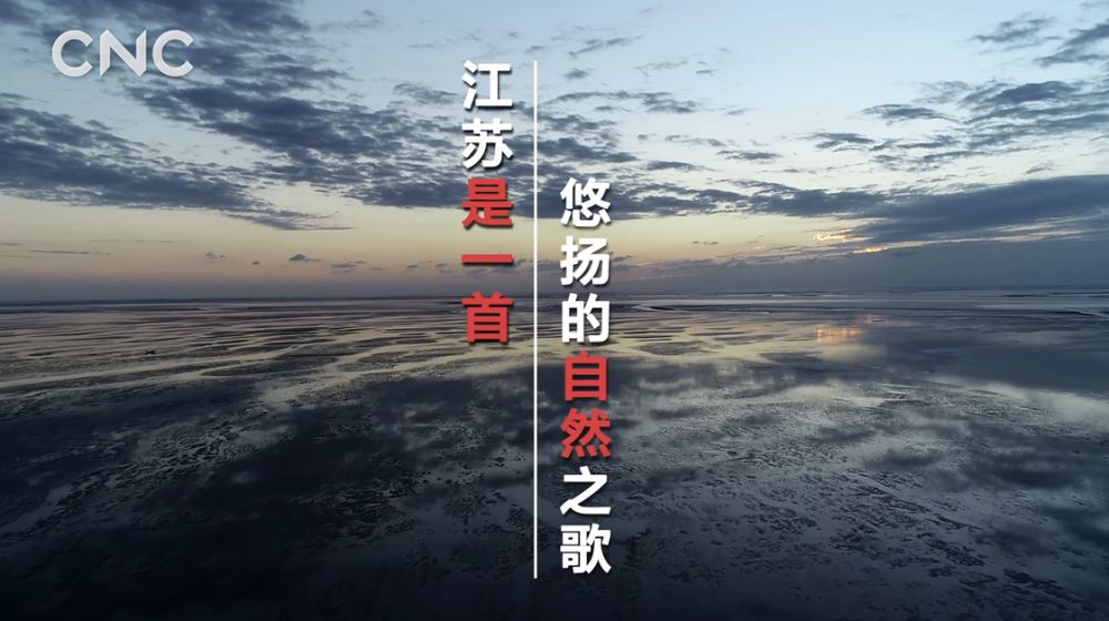 我爱你中国歌曲纯音乐 d0820b3e0a7c46ac978fec77cb3fffd8.jpeg