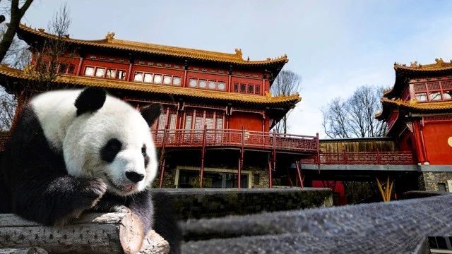 文章配图