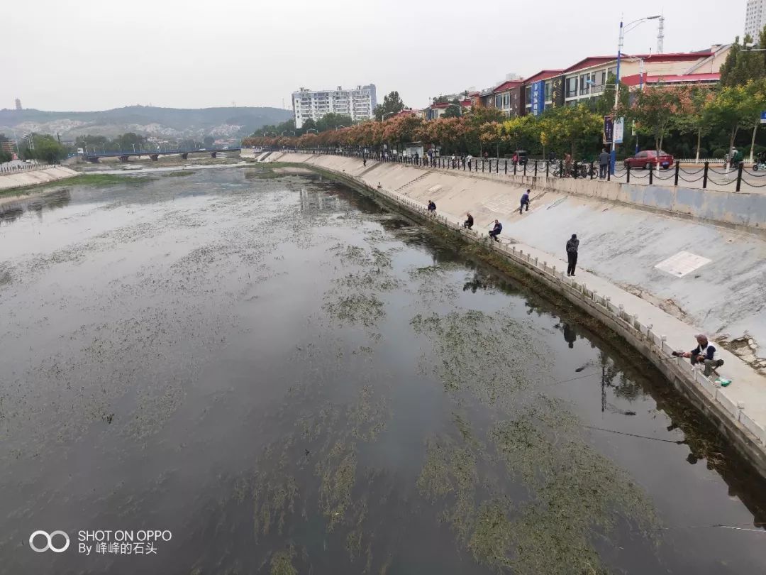 危险在峰峰滏新大桥上的一幕