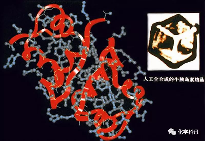 人工全合成牛胰岛素结晶到底有多牛?
