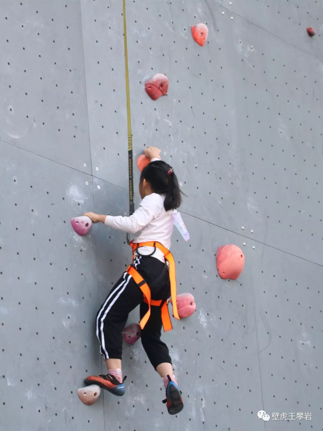 攀岩新力量|重庆市少年儿童攀岩锦标赛举行