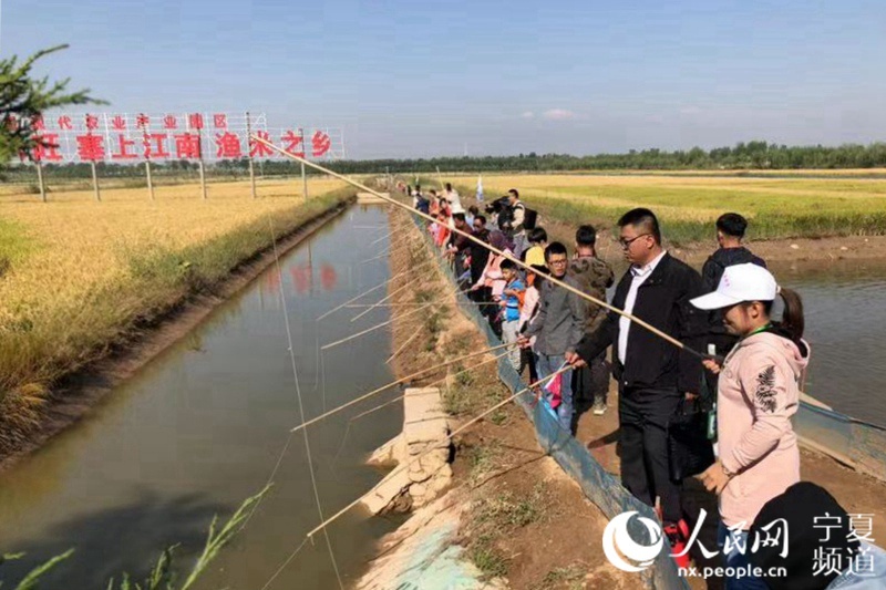 贺兰县2019年“中国农民丰收节”启动休闲农业蓬勃发展