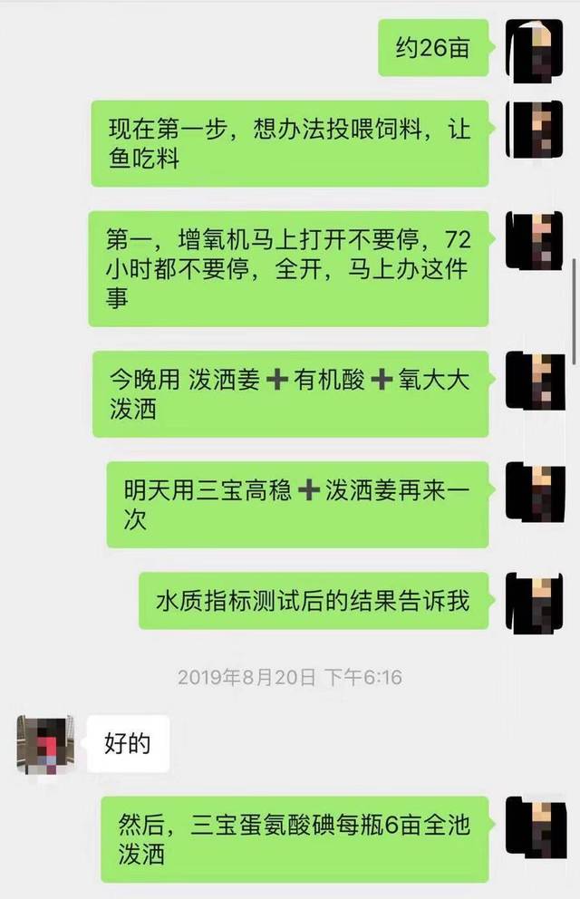 加州鲈鱼不停死亡!秋季这个工作要做好(视频案例)