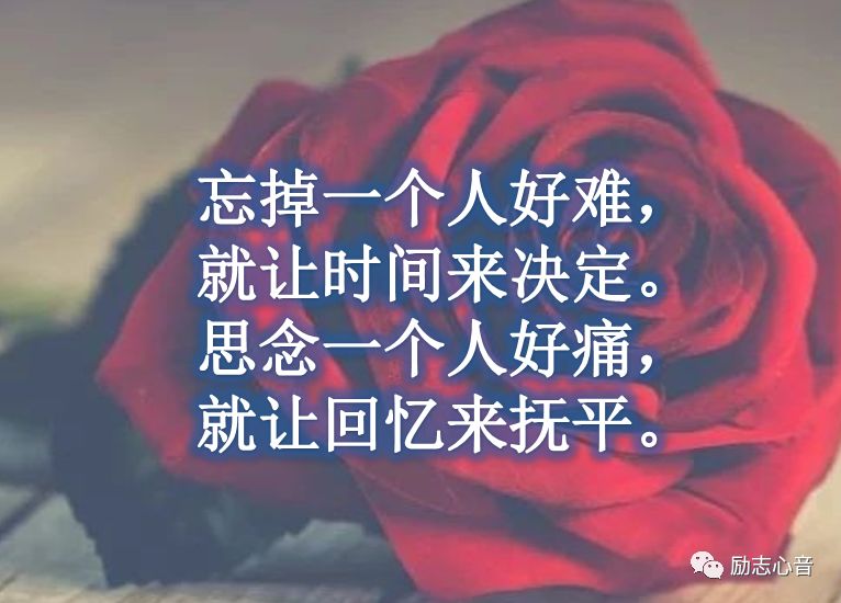 怎样可以忘记一个人放下一个人 02ba7f86f0e64133a858c0a98600314f.jpeg