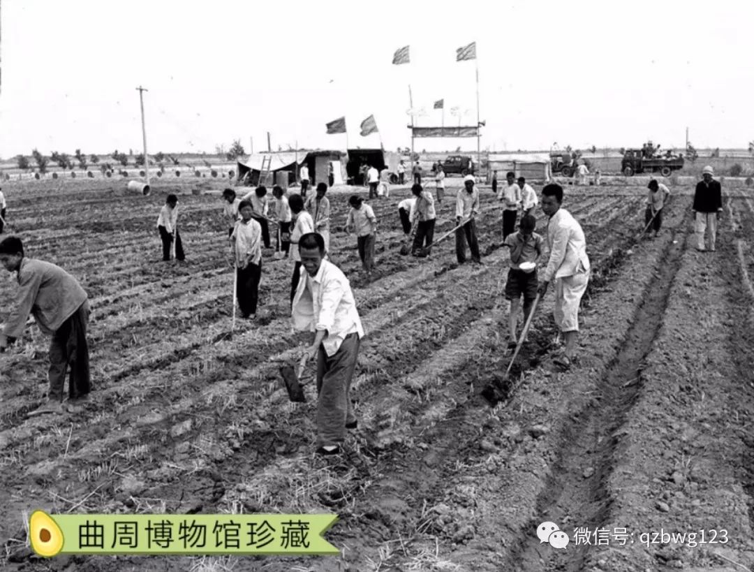 经典欣赏生产队时农民的丰收喜悦和劳动场景