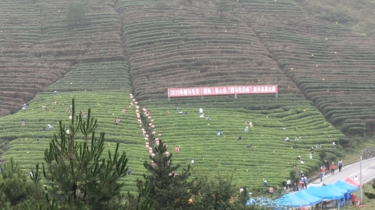 贵州独山多少人口_贵州独山风景(2)