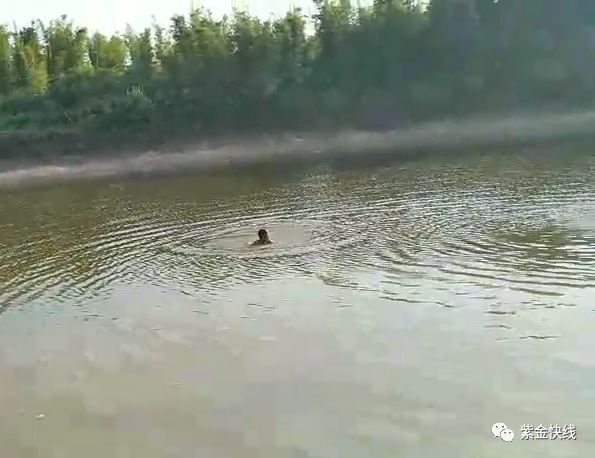 紫金发生小孩溺水事件两男一女小的才10岁
