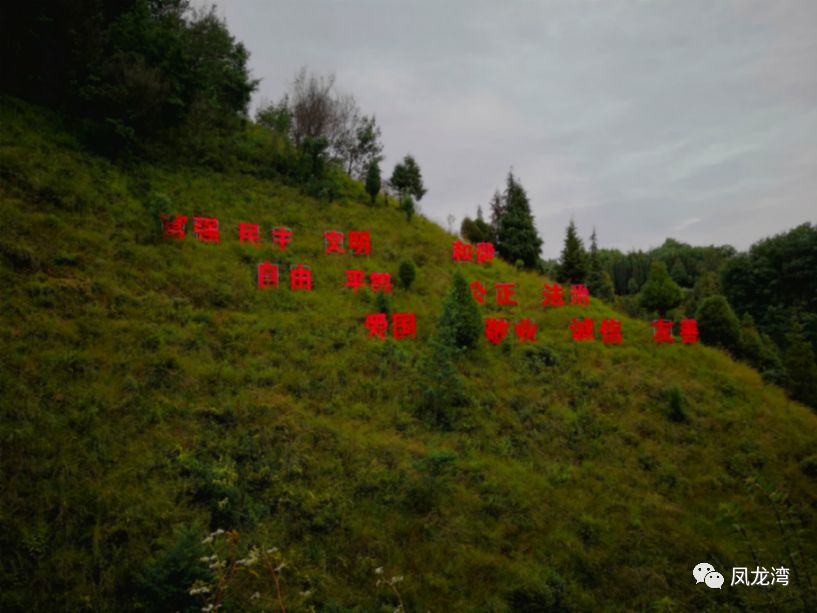 233f1ffaedad42a2bb1ce3cc357c8943.jpeg