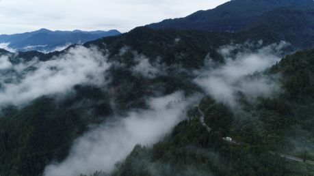 为什么叫青衣江 27a0ff19459e483f863001fdee51ff61.jpeg