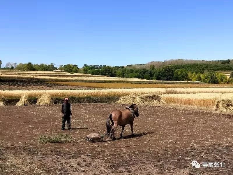 张北县多少人口_张北县各乡镇地图