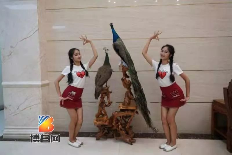 2cf14e0a664c437e99e94de0ed62278e.jpeg