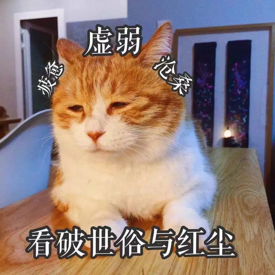 2e1b8e05c97a492baf0e1a865a72d596.jpeg