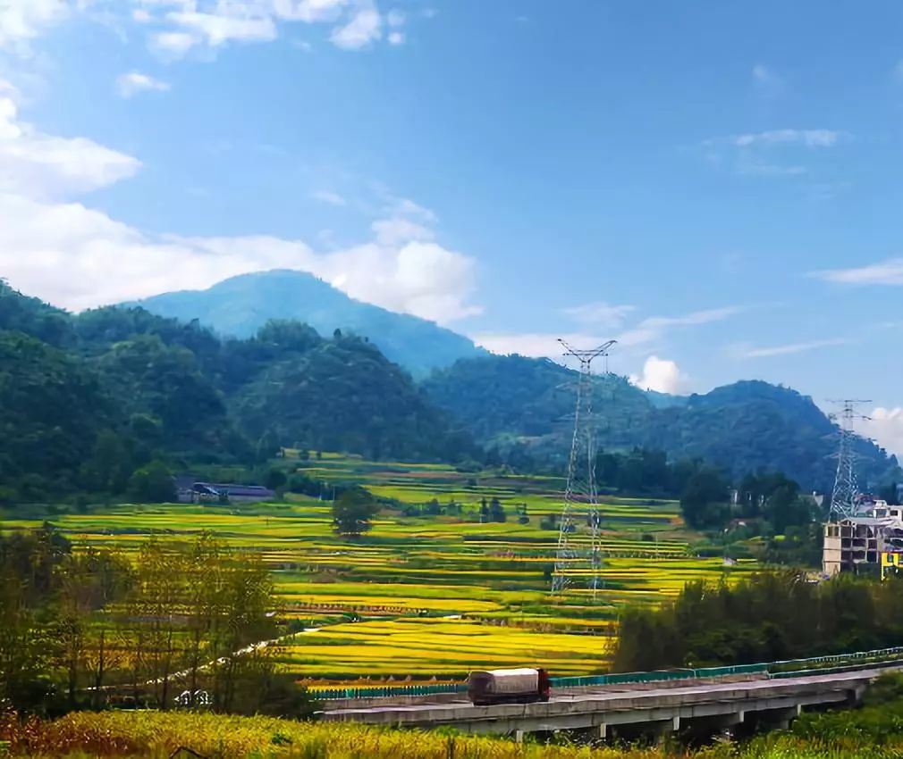 兴义市鲁屯镇章磨村水稻梯田.