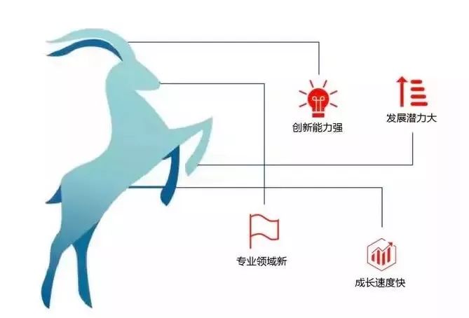 2019中国瞪羚企业高新区入围32家看看谁跑得快又跳得高