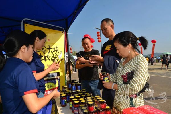 远安县2020年gdp_远安县茅坪场镇