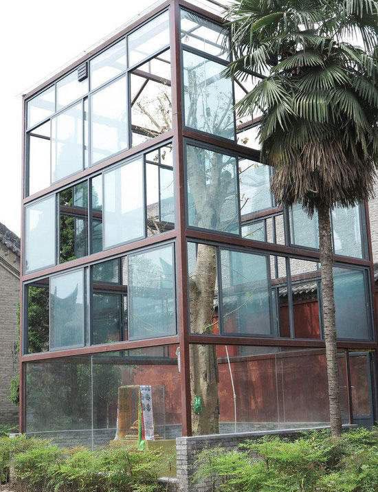 一棵树一座房子打一成语疯狂看图猜成语