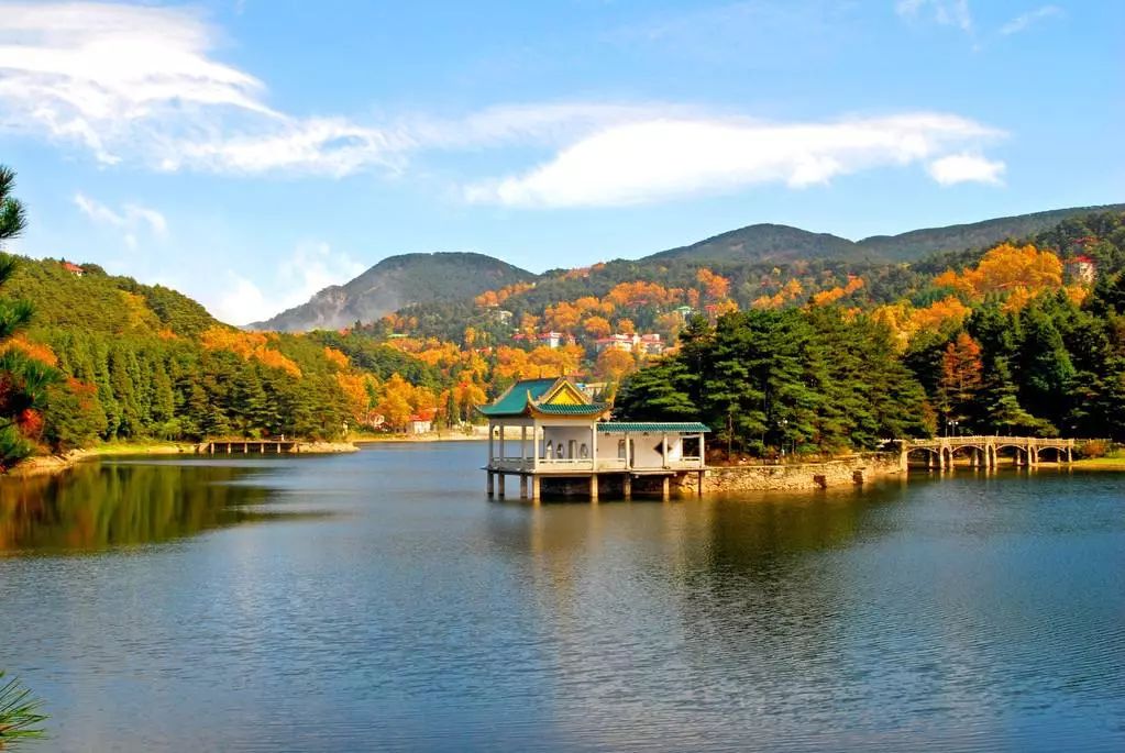 人人都说, 庐山最美的季节是秋季 万山红遍,枫叶流丹,桂子飘香 美得像