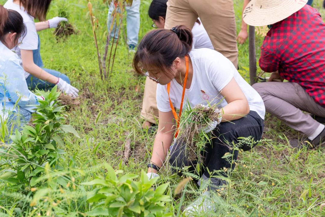 种菜拔草捆柴杭电学子田间地头忙