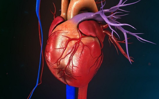 吃什么预防心梗脑梗最有效 48557dddc74644bbae73a7ce928de693.jpeg