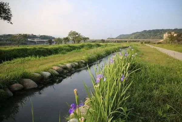 生态沟渠01目前,国内外水生态环境质量改善主要有"控源,减污,生态